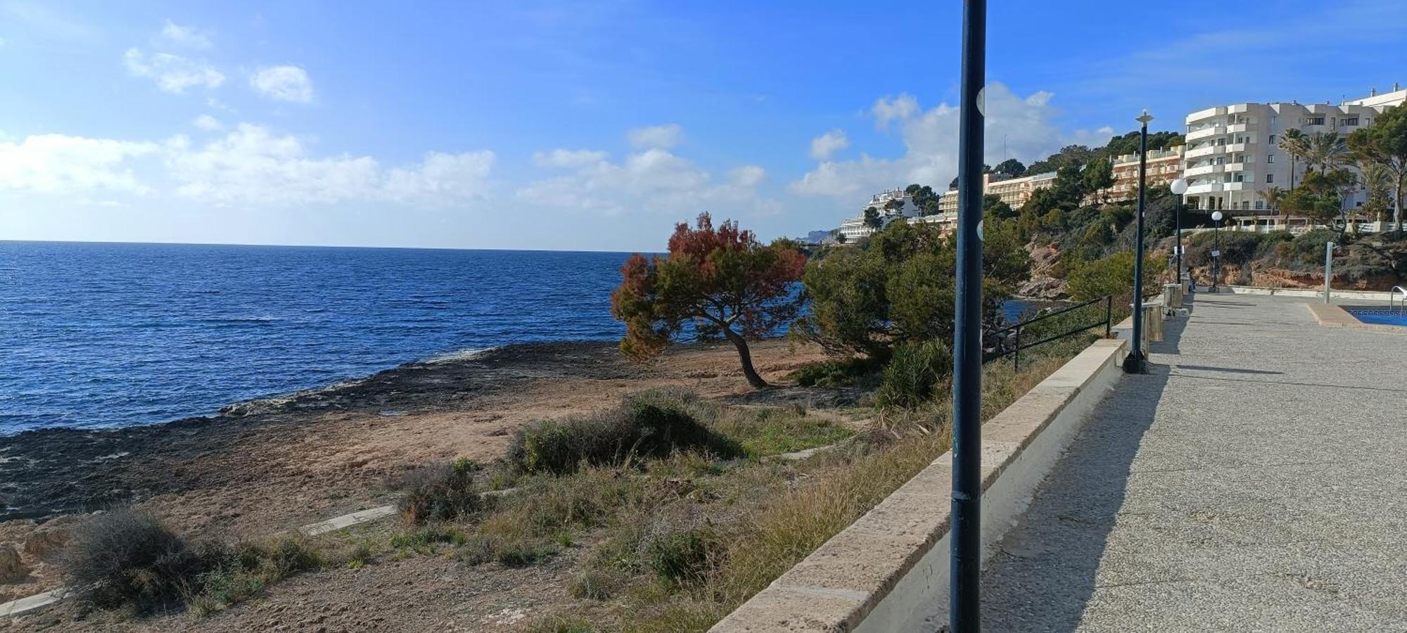 Mediterranean Sea View Apartment Santa Ponsa Exterior photo